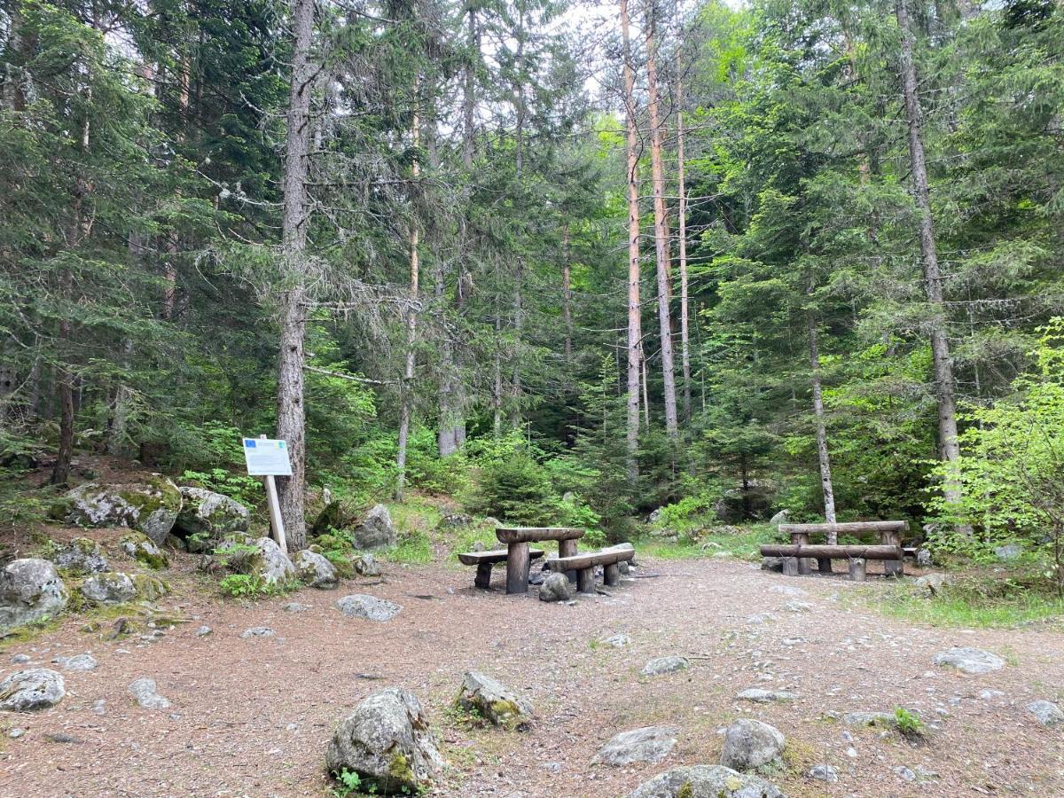 Luxury Private Studio In Green Life Банско Экстерьер фото